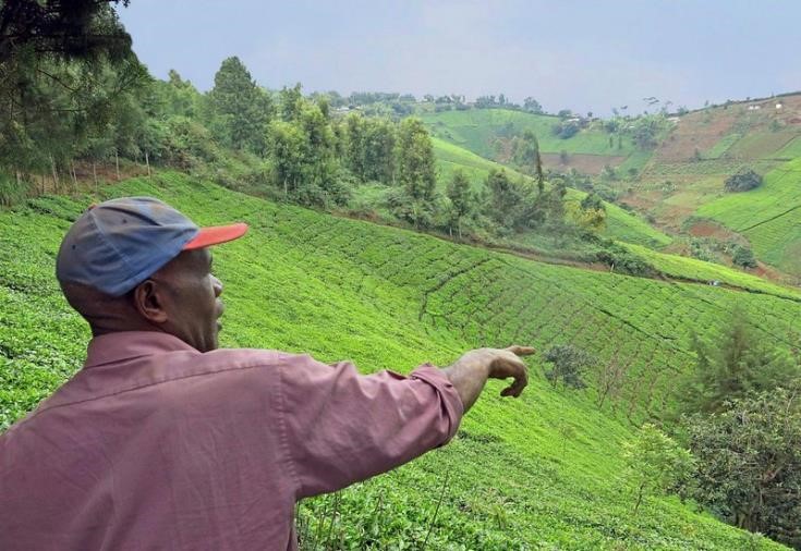The Role of Environmental Education in Climate Action